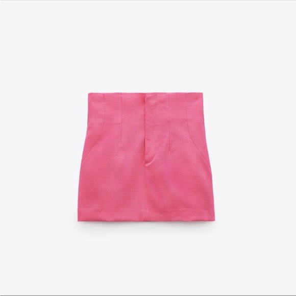 Zara Mini Skirt with Darts - Picture 6 of 8